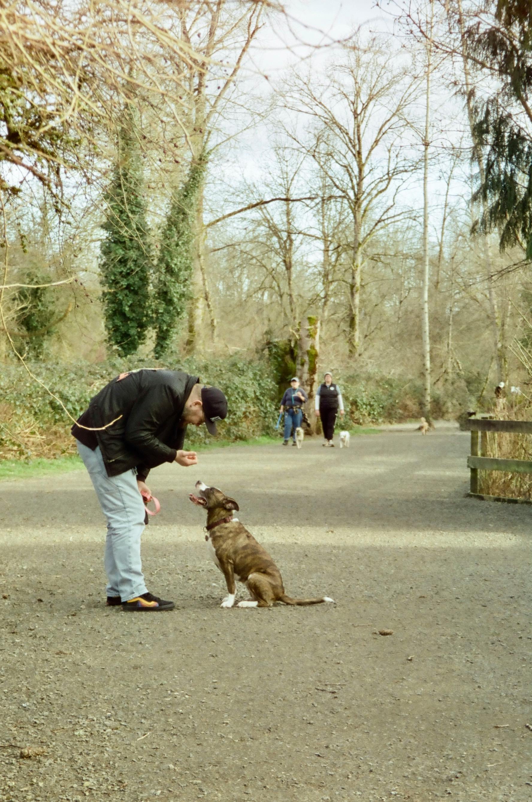 Friandises dentaires naturelles pour chien